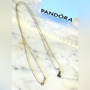 Pandora necklace & Charm